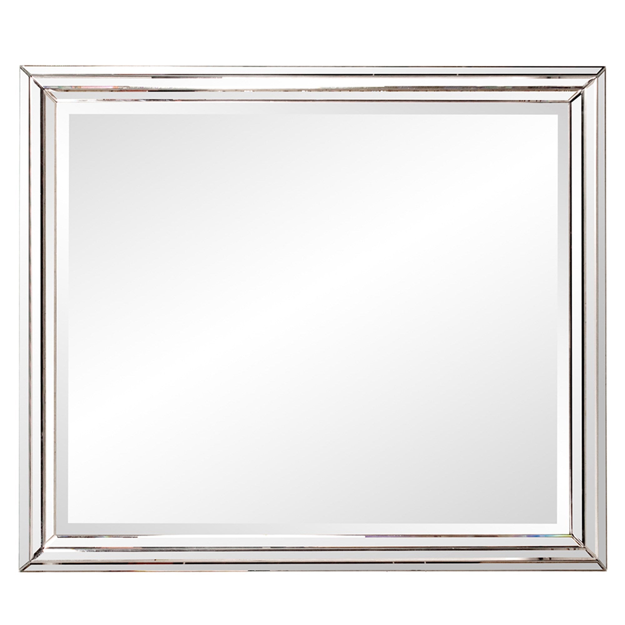 Omni Mirror