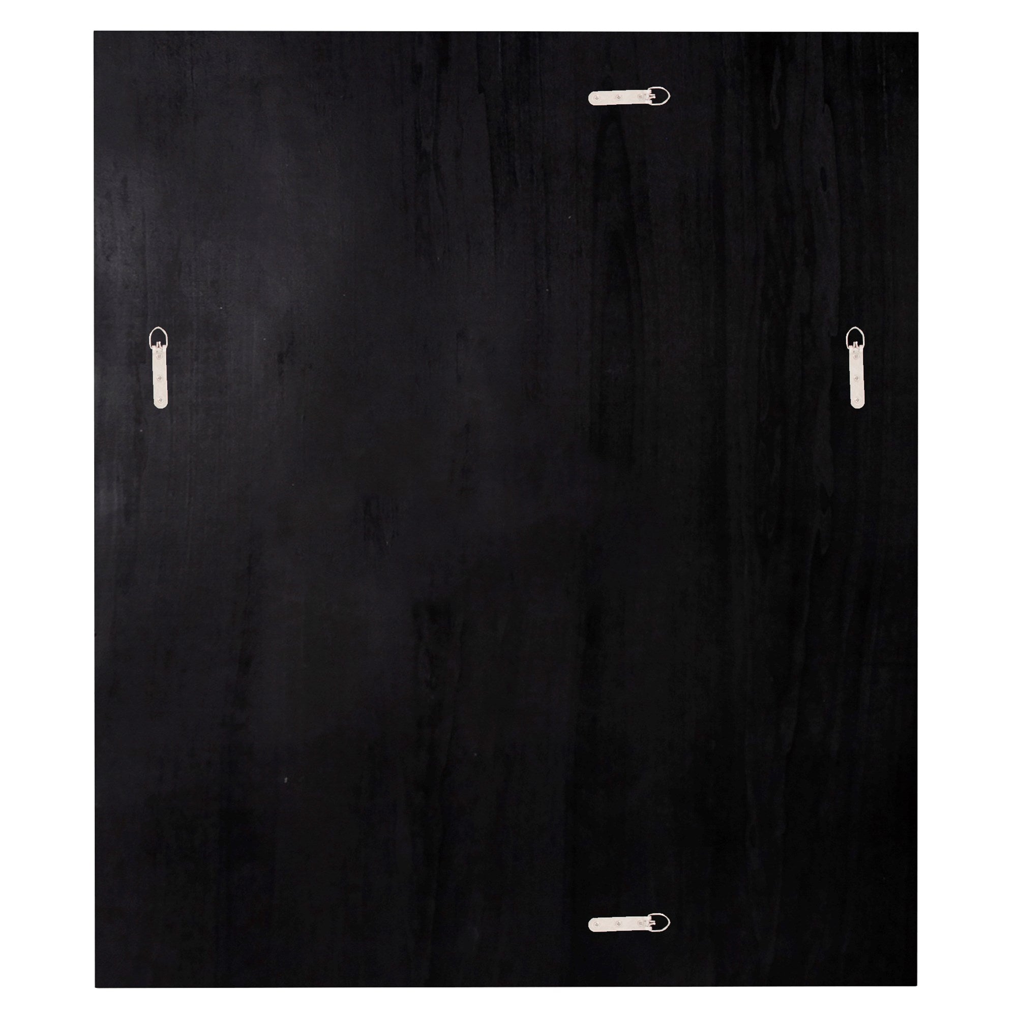 Omni Mirror