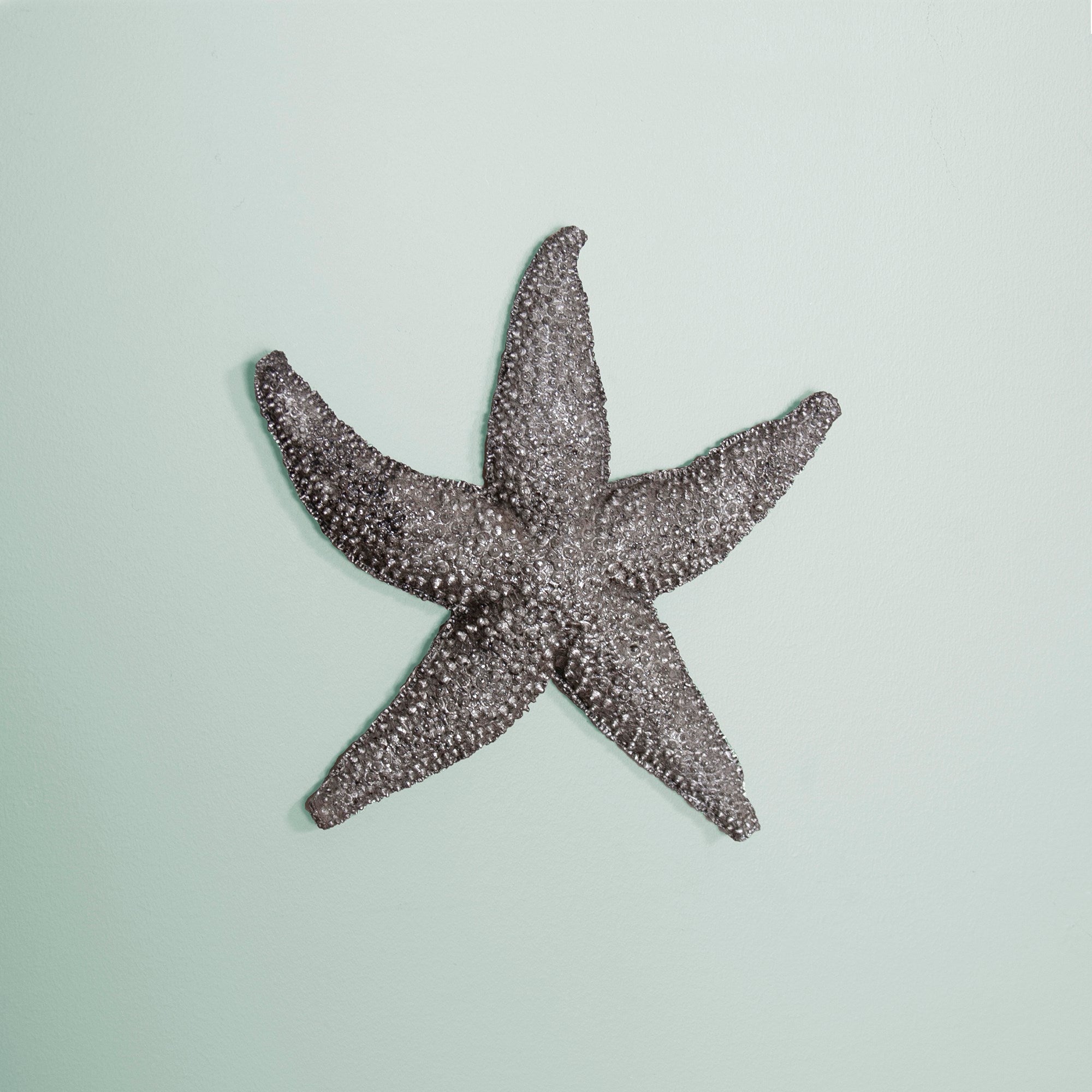 Deep Pewter Starfish - small