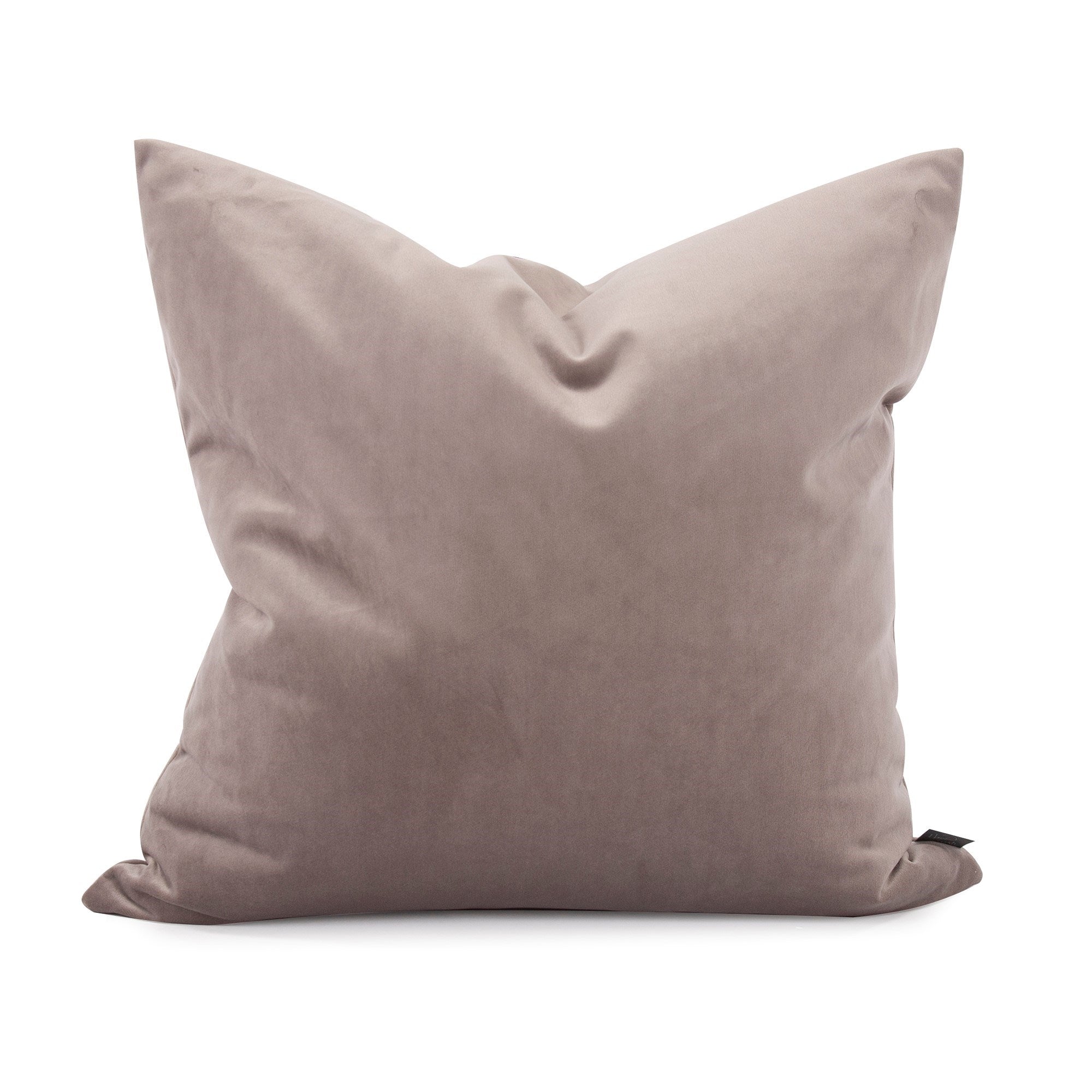 Bella Ash Poly Pillow- 20" x 20"