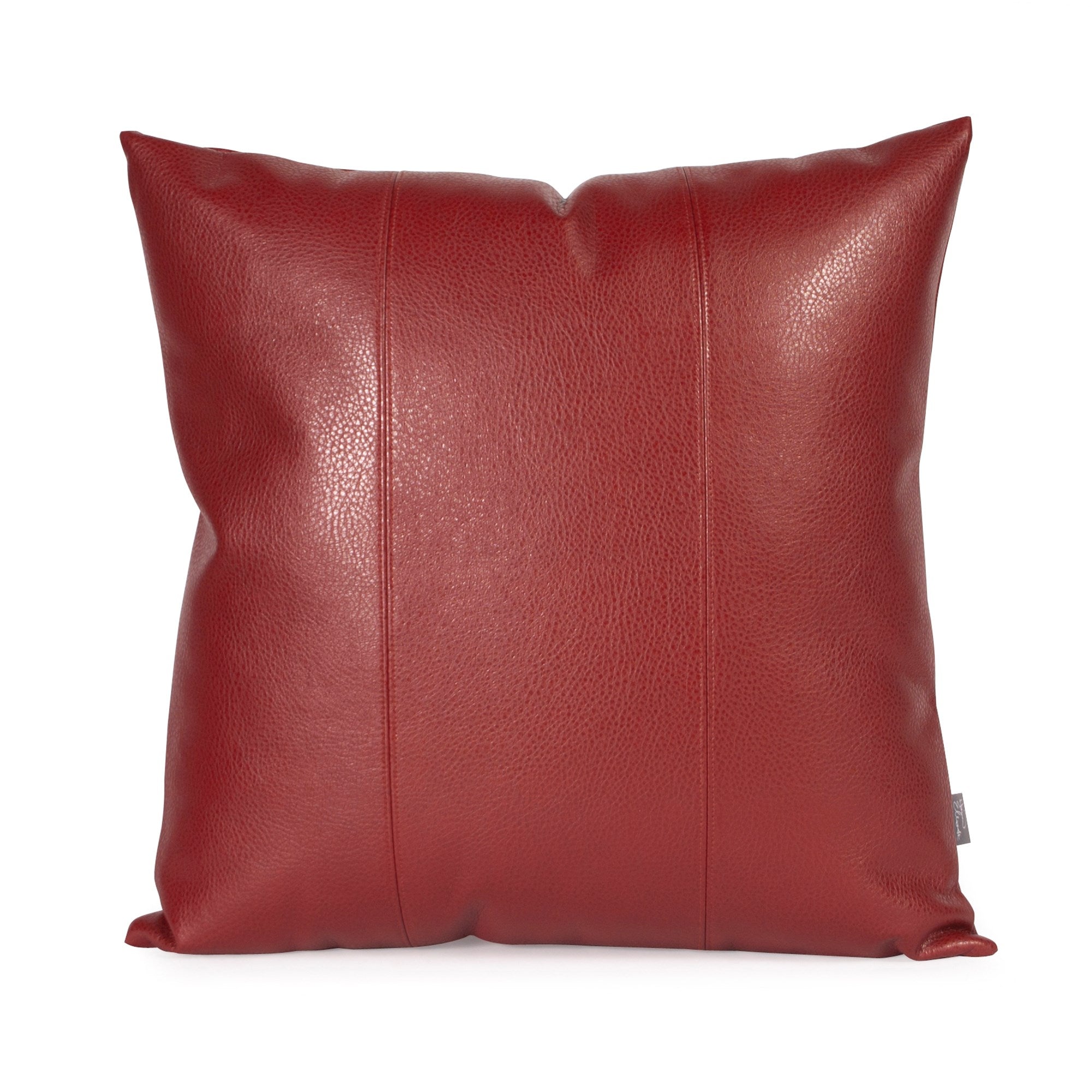 Avanti Apple Poly Pillow- 20" x 20"