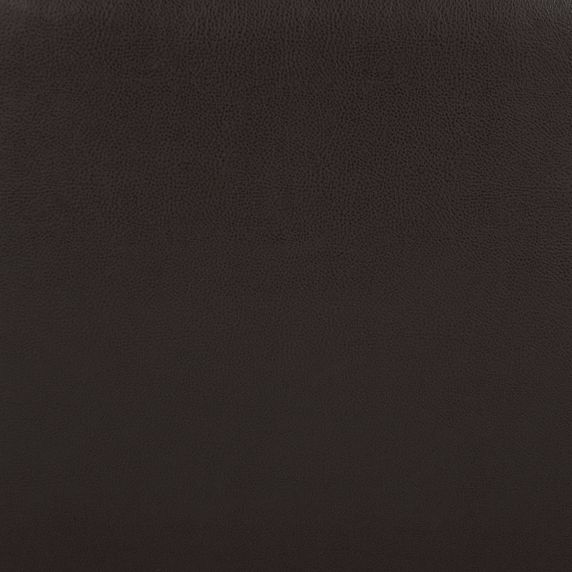 Avanti Black Poly Pillow- 20" x 20"
