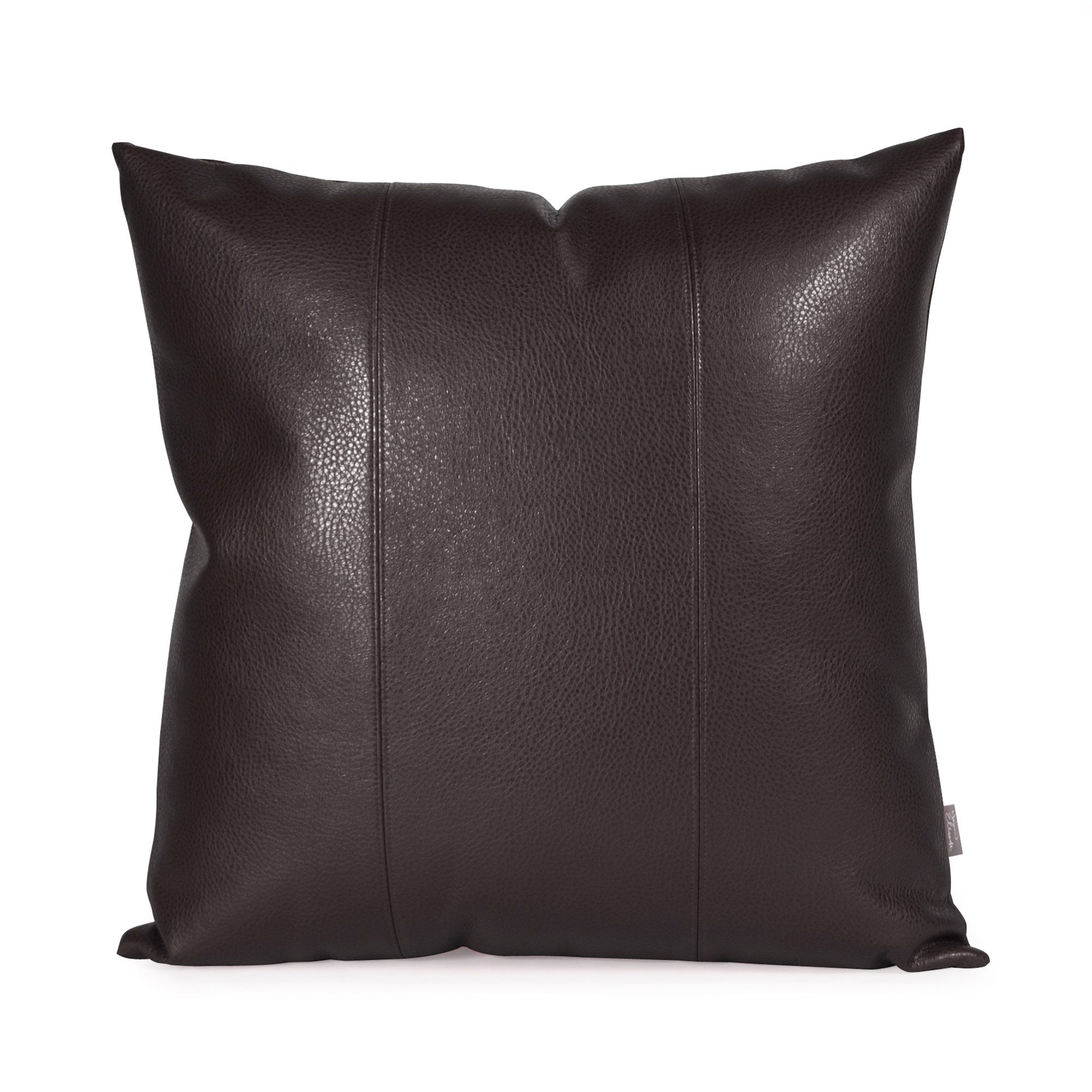 Avanti Black Poly Pillow- 20" x 20"