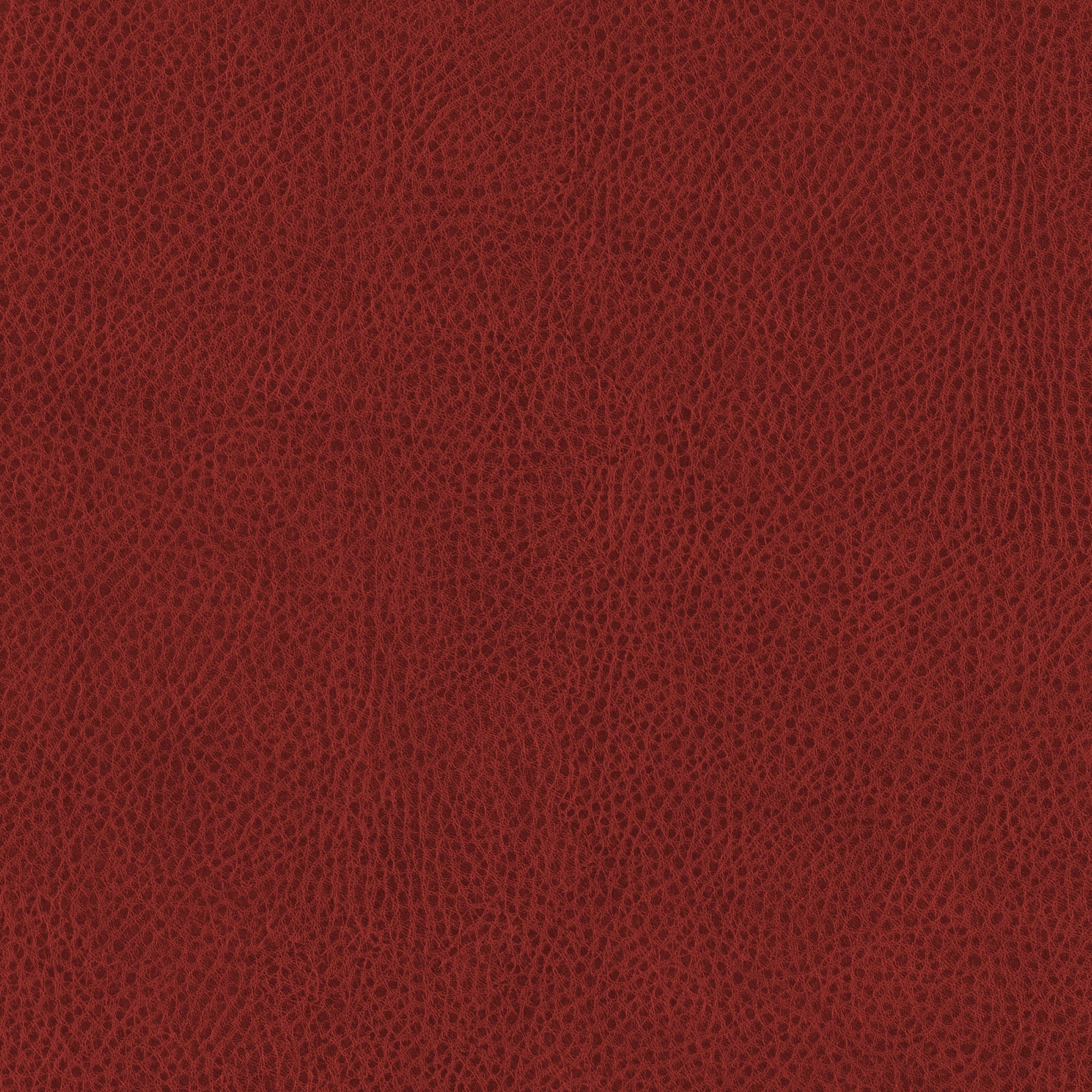 Avanti Apple Poly Pillow- 24" x 24"