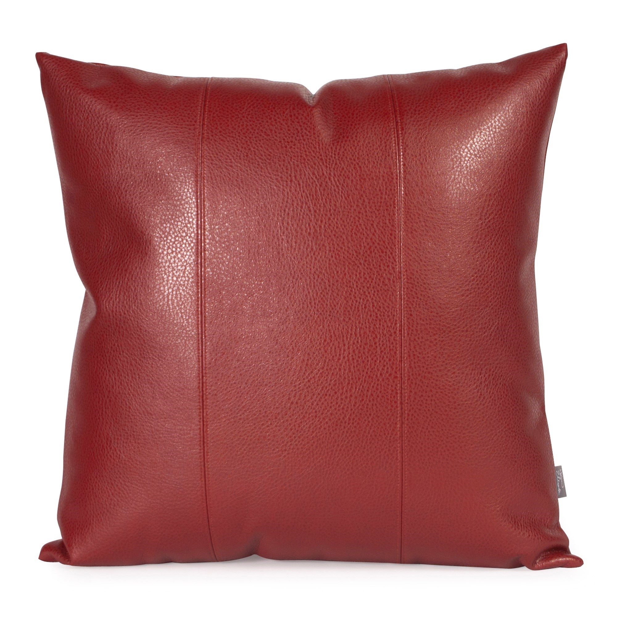 Avanti Apple Poly Pillow- 24" x 24"
