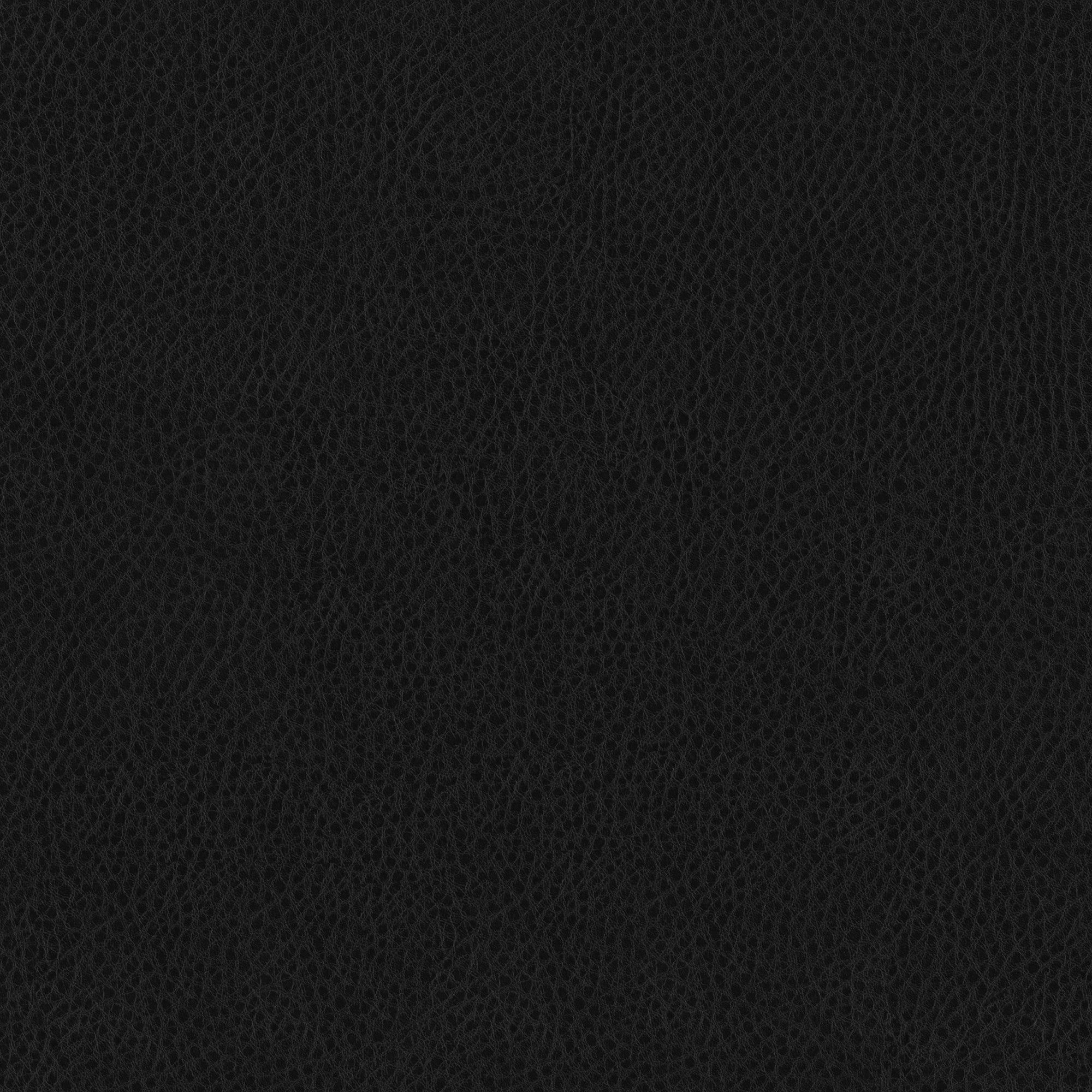 Avanti Black Pillow- 24" x 24"