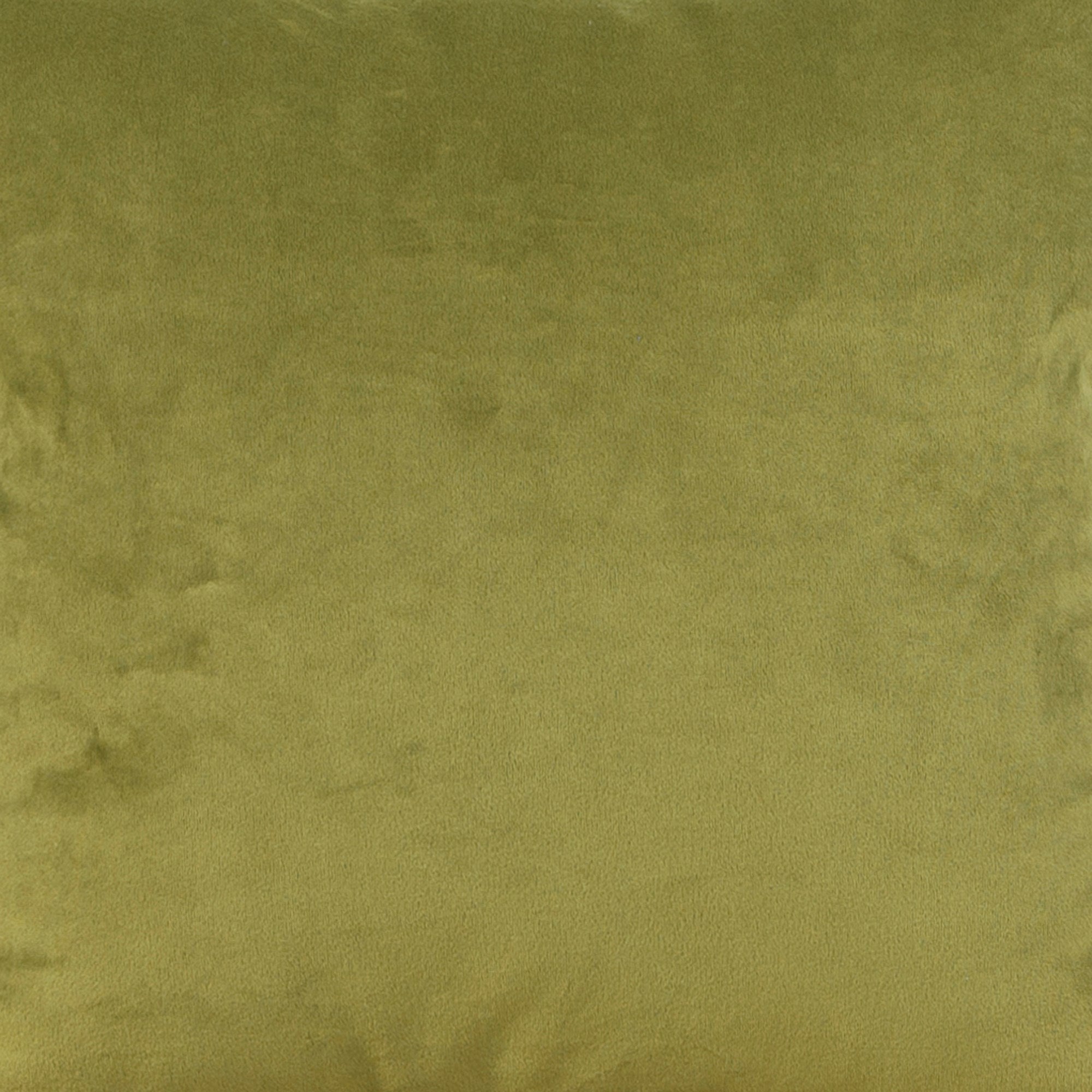 Bella Moss Poly Pillow- 24" x 24"