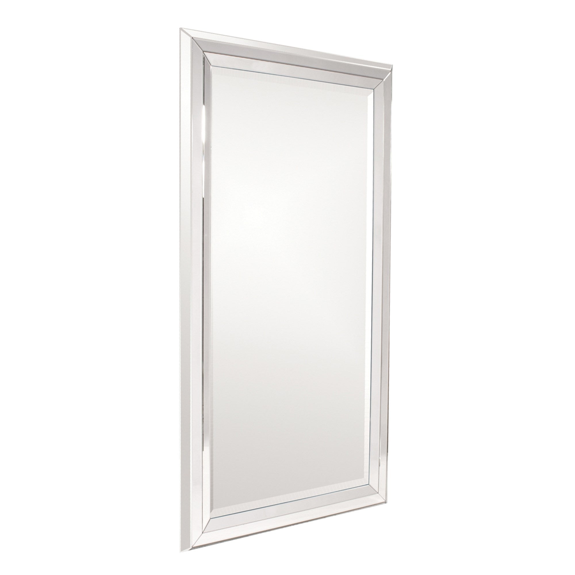 Omni Mirror