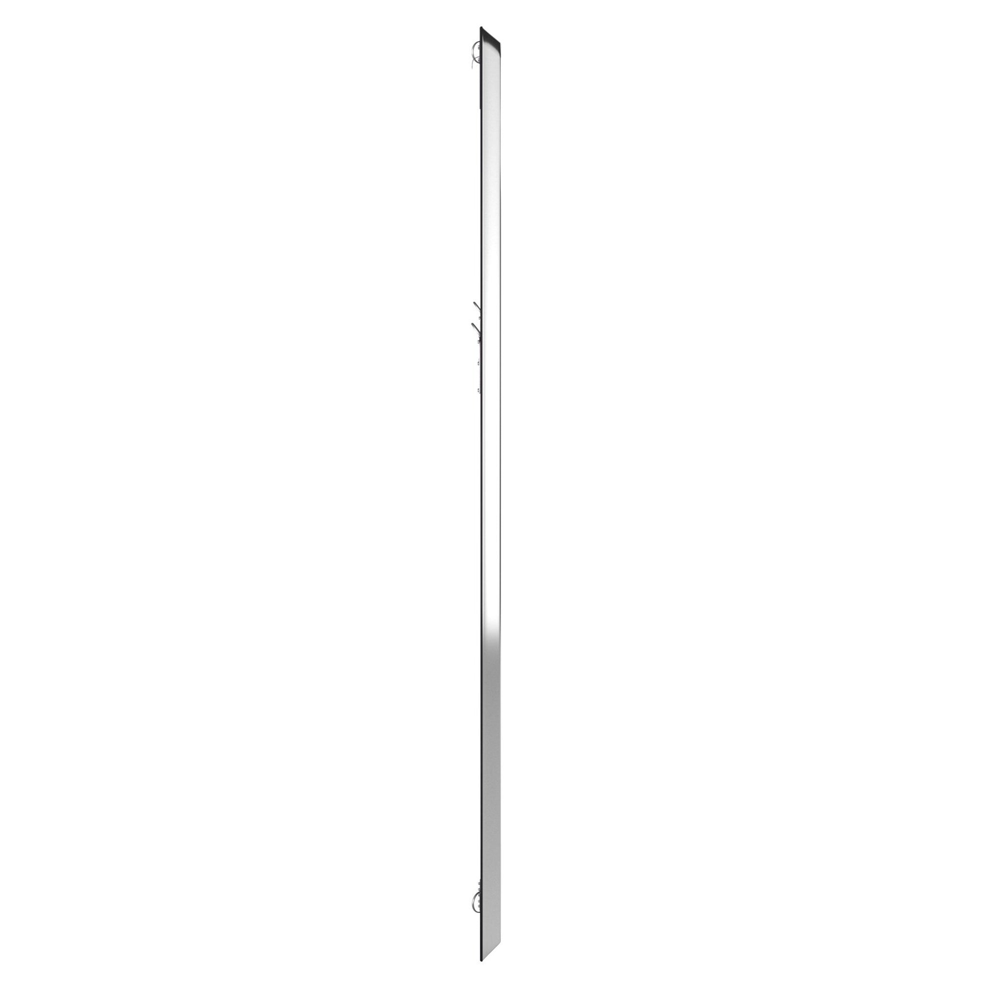 Omni Mirror
