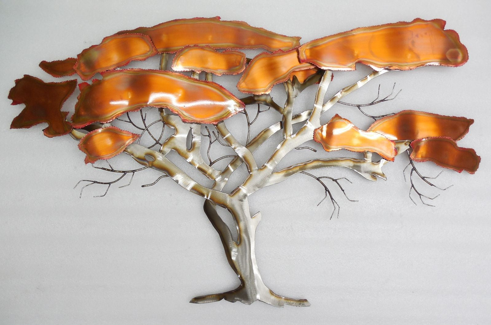 Acacia Wall Art